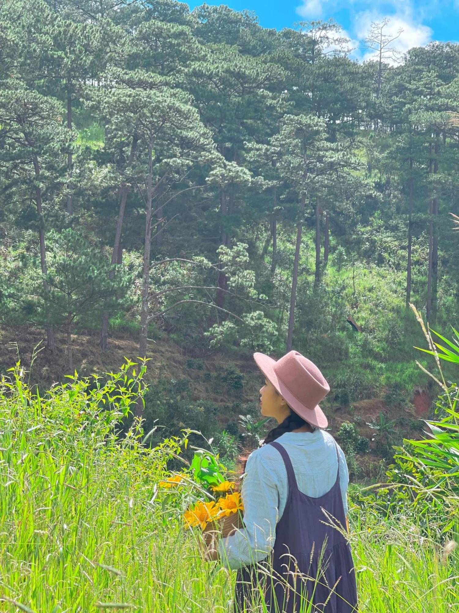 Dalat Memories Homestay - Pho Suong Mo Da Lat Zewnętrze zdjęcie