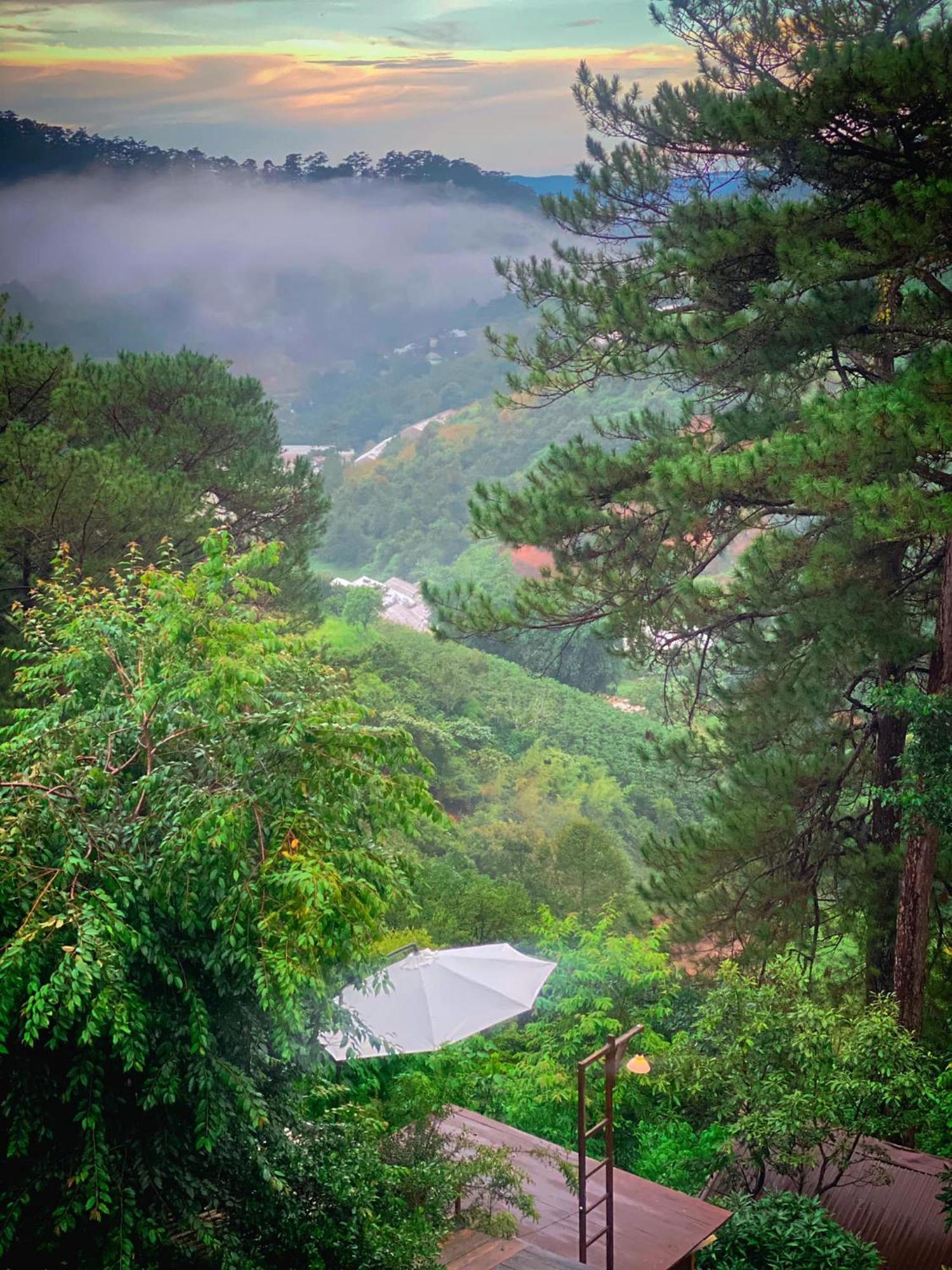 Dalat Memories Homestay - Pho Suong Mo Da Lat Zewnętrze zdjęcie