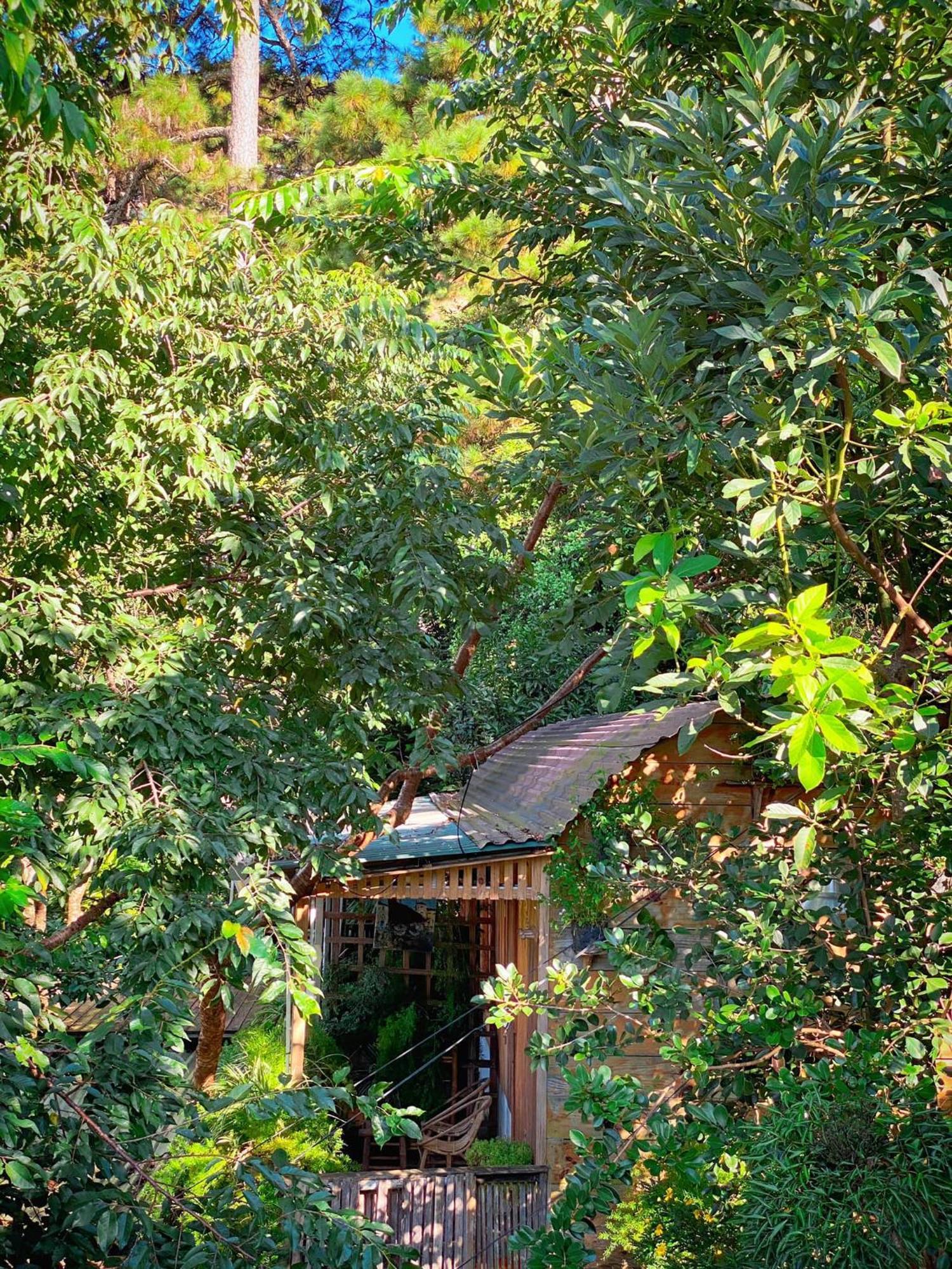 Dalat Memories Homestay - Pho Suong Mo Da Lat Zewnętrze zdjęcie