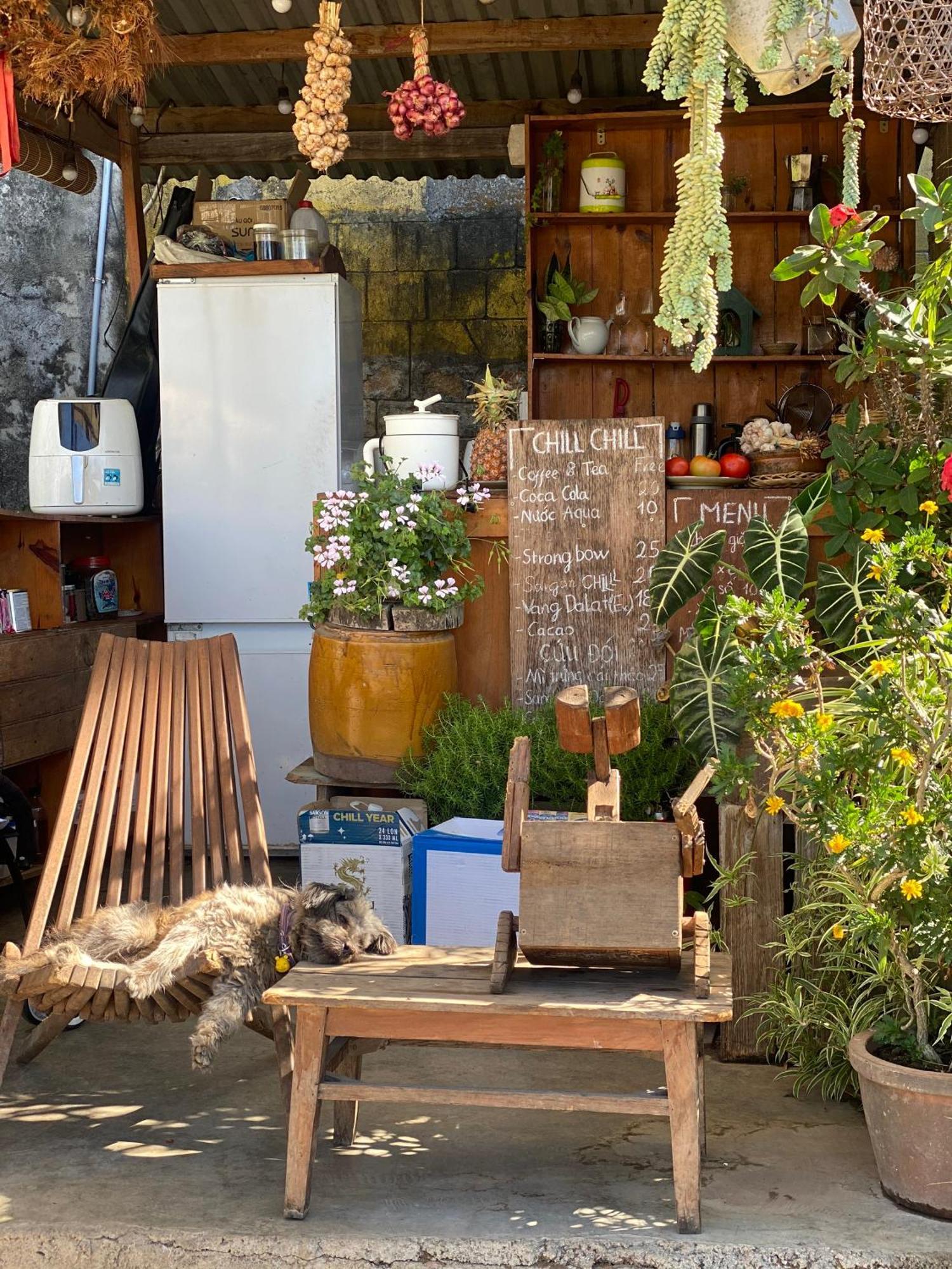 Dalat Memories Homestay - Pho Suong Mo Da Lat Zewnętrze zdjęcie