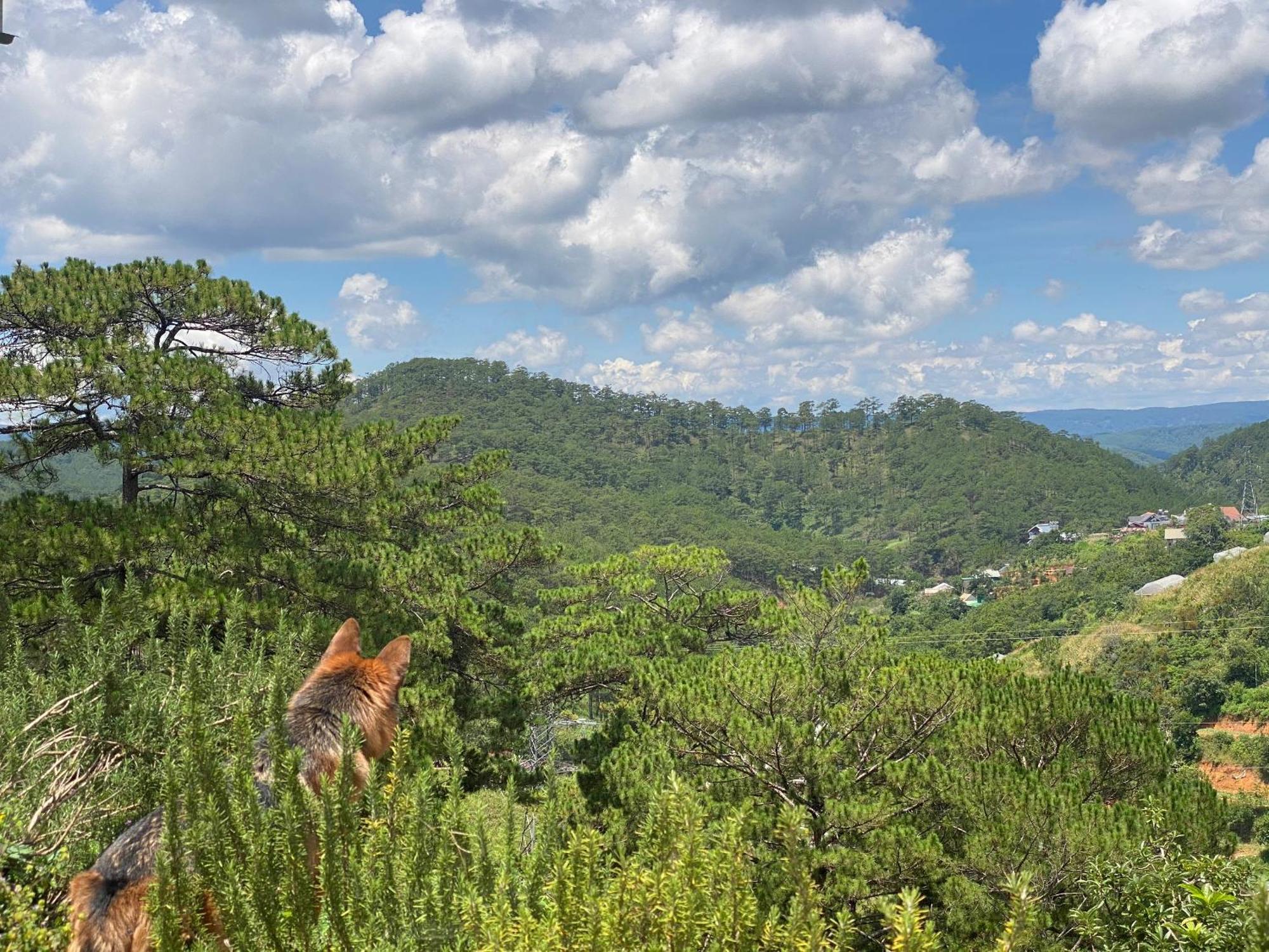 Dalat Memories Homestay - Pho Suong Mo Da Lat Zewnętrze zdjęcie