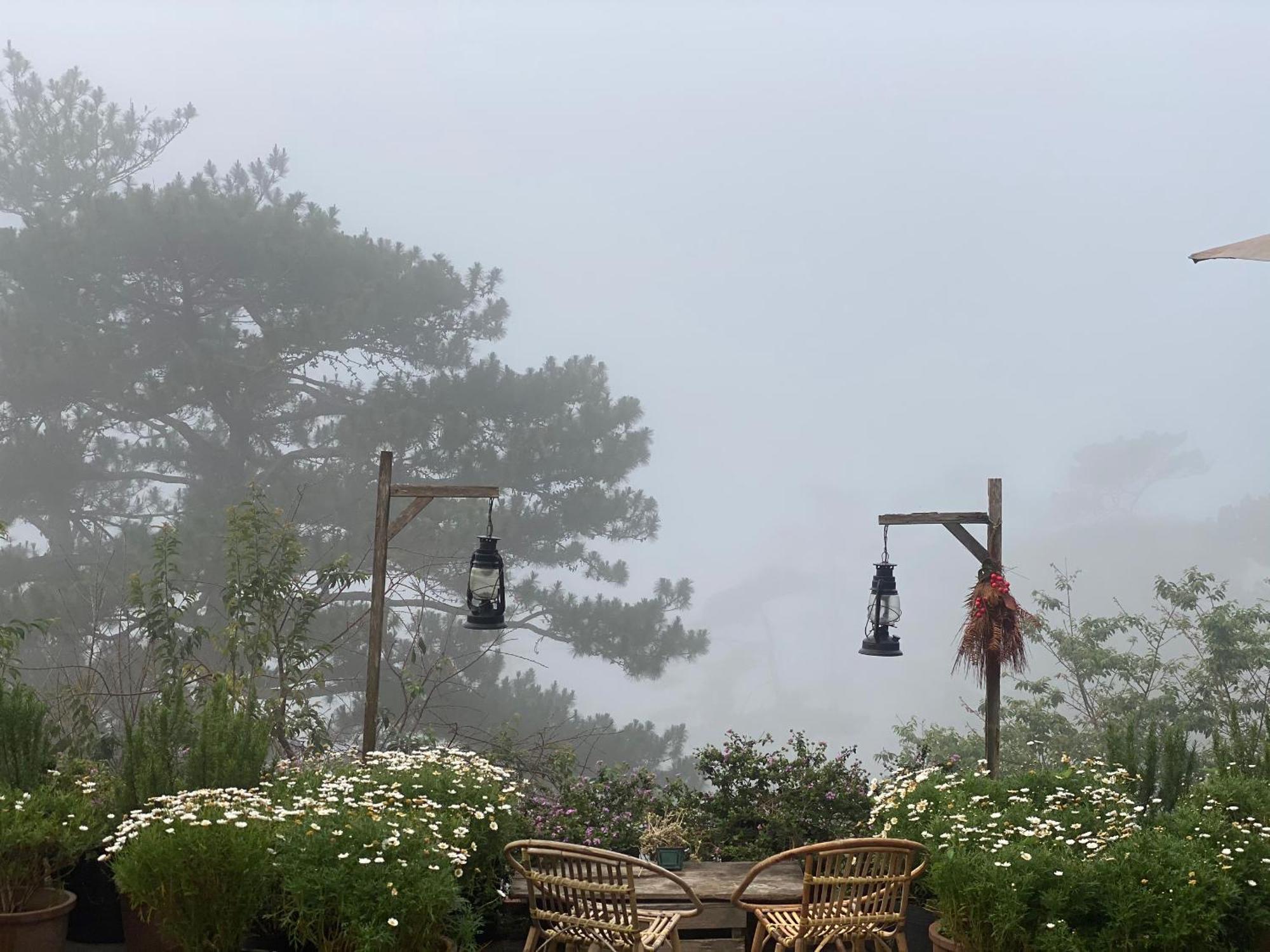 Dalat Memories Homestay - Pho Suong Mo Da Lat Zewnętrze zdjęcie