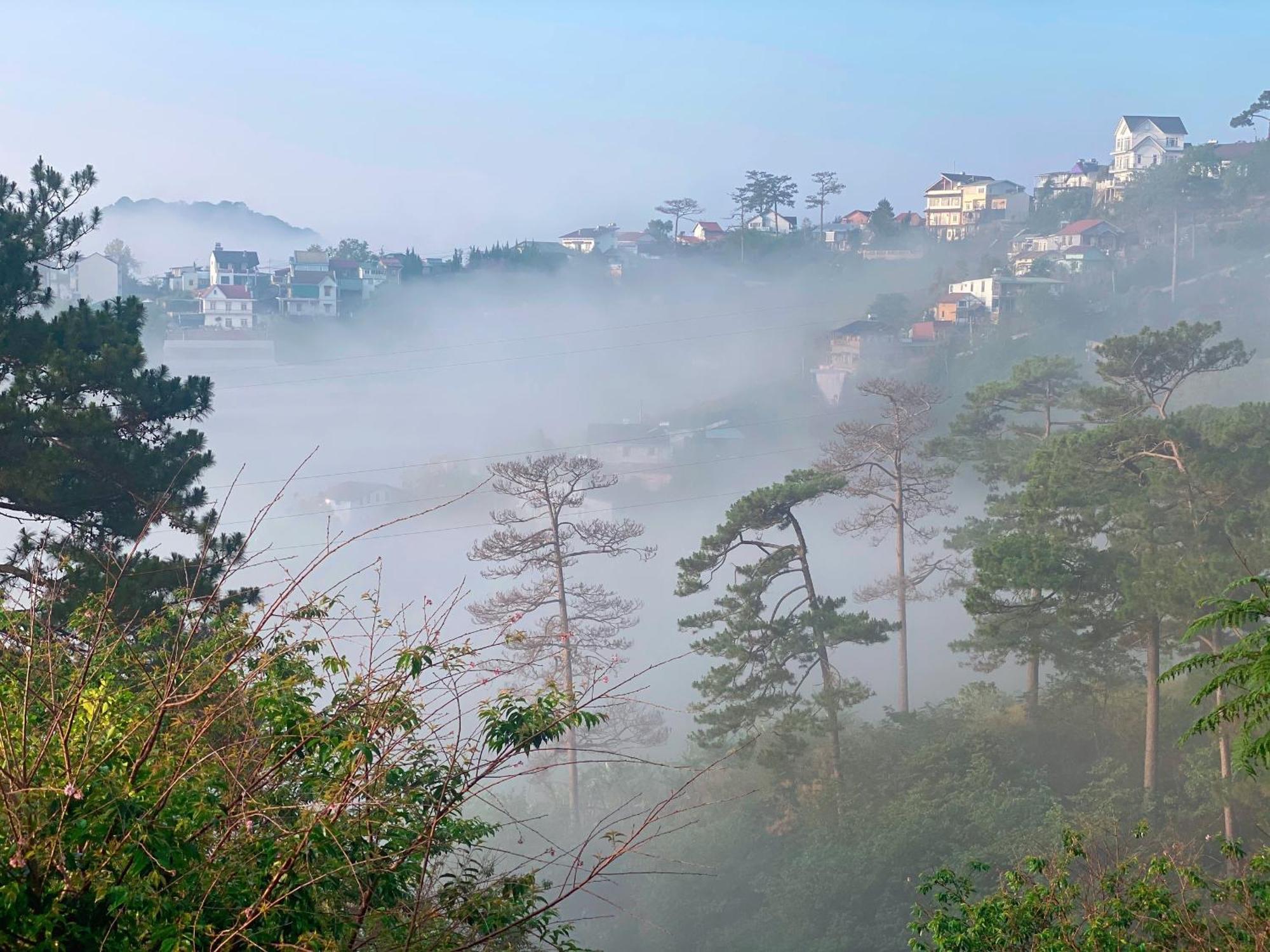 Dalat Memories Homestay - Pho Suong Mo Da Lat Zewnętrze zdjęcie