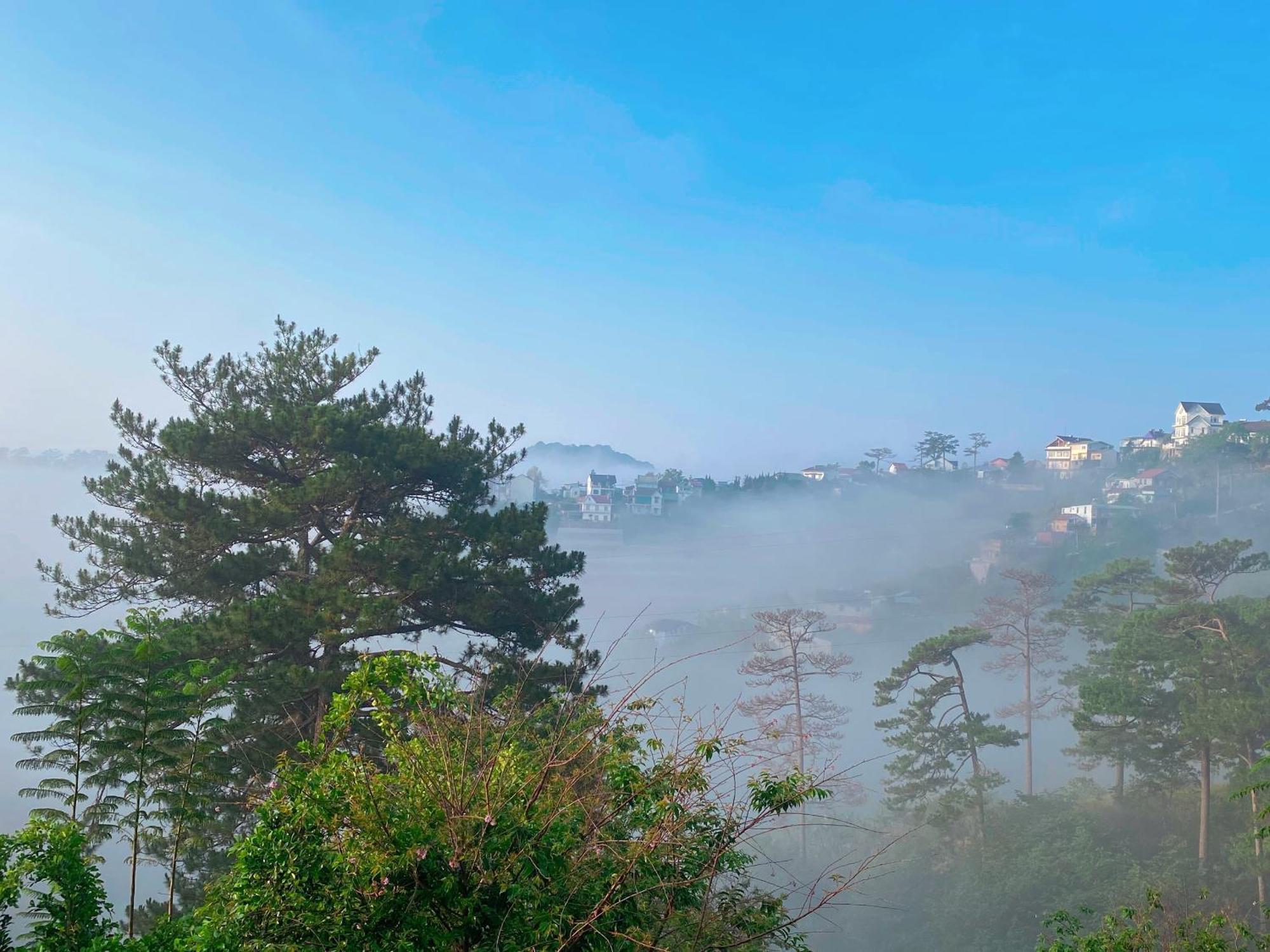 Dalat Memories Homestay - Pho Suong Mo Da Lat Zewnętrze zdjęcie