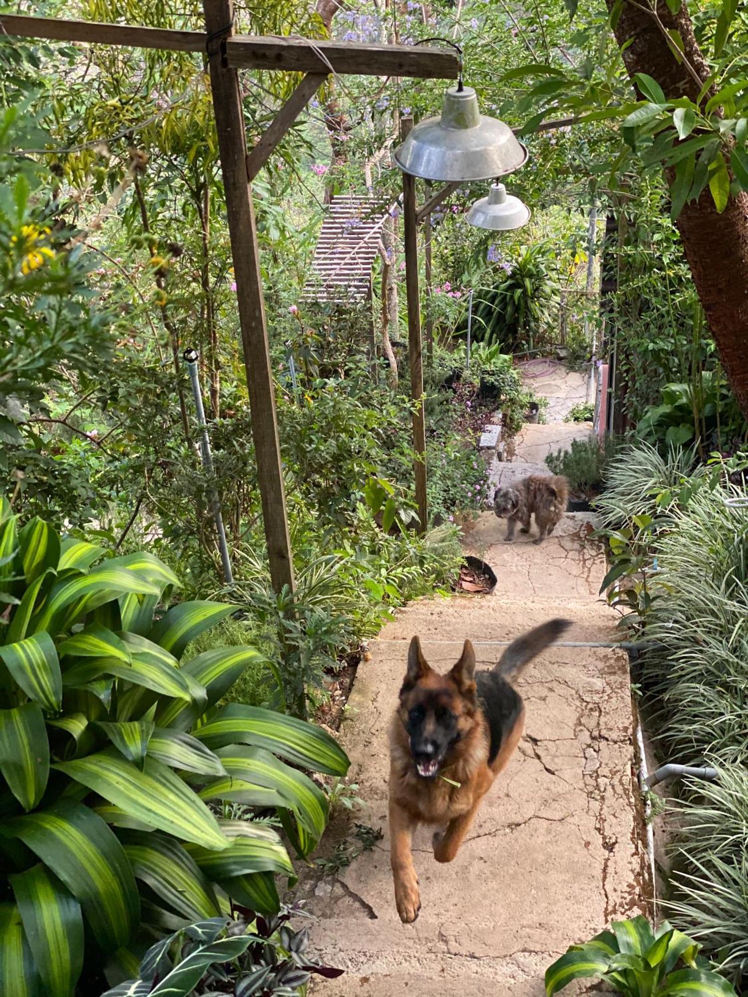 Dalat Memories Homestay - Pho Suong Mo Da Lat Zewnętrze zdjęcie