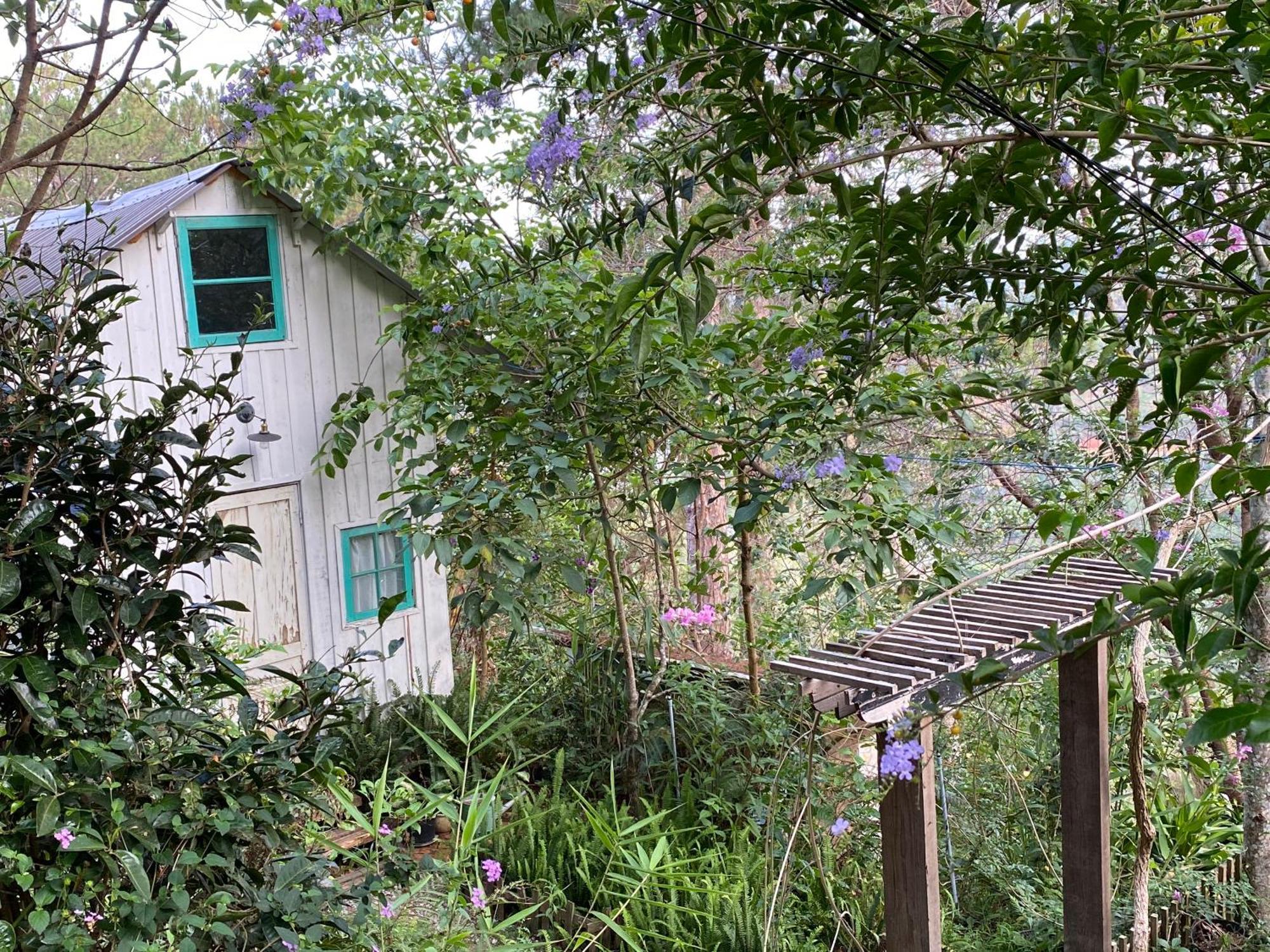 Dalat Memories Homestay - Pho Suong Mo Da Lat Zewnętrze zdjęcie