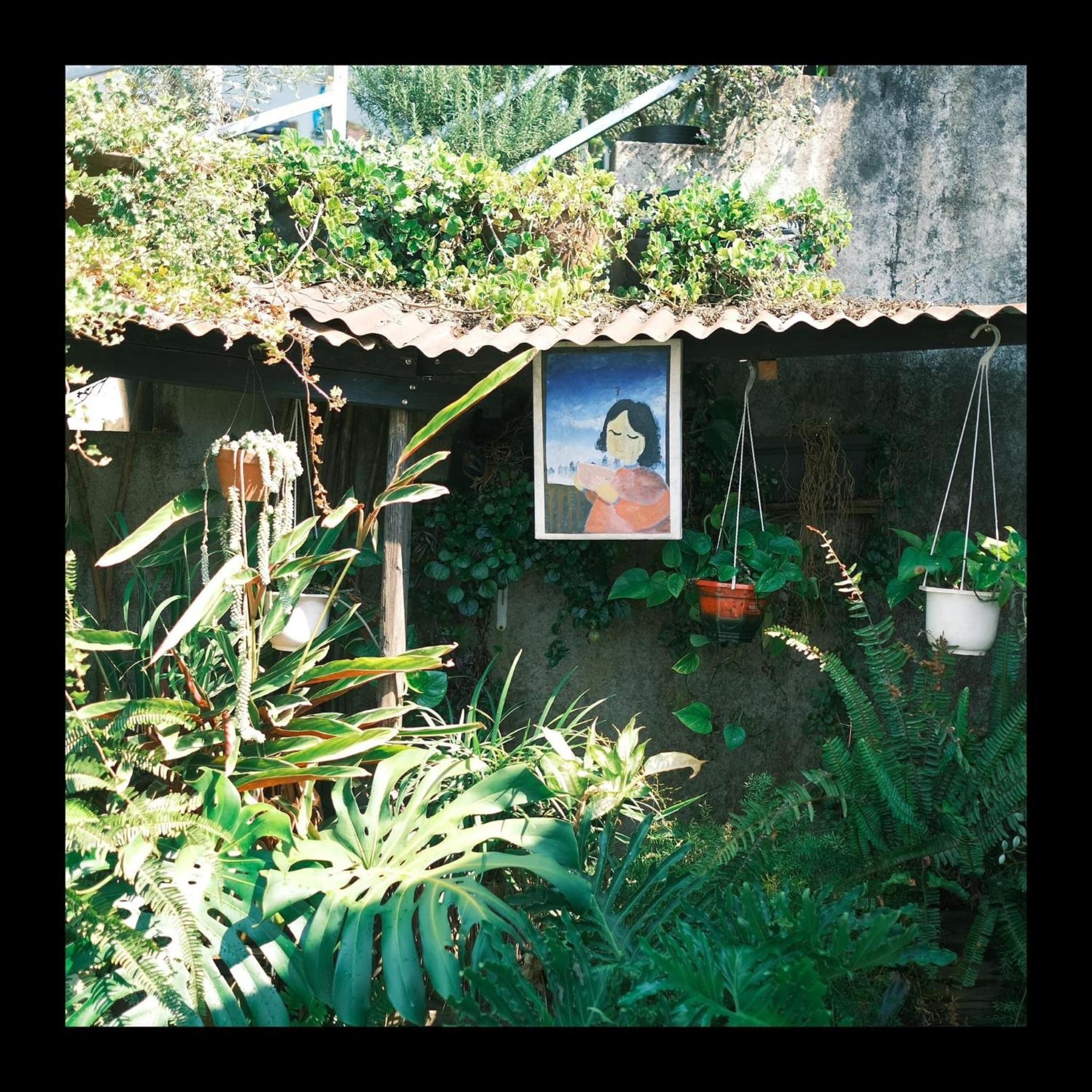 Dalat Memories Homestay - Pho Suong Mo Da Lat Zewnętrze zdjęcie